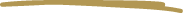 Elegant gold and black decorative line, adding a stylish touch to the galleries section.